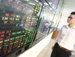 Đấu giá tháng 2 trên HNX: 81% cổ phần được mua