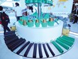 Hoa Sen chấm dứt hoạt động của 10 chi nhánh 