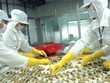 Tôm và cá tra là hai mặt hàng xuát khẩu chủ lực của ngành thủy sản Việt Nam.
