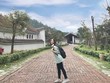 Khu di tích Yên Tử: Khu di tích Yên Tử nằm gần đường 18A, thuộc xã Thượng Yên Công, thành phố Uông Bí, tỉnh Quảng Ninh. Nơi đây là một quần thể gồm các ngôi chùa, am, tháp, tượng, rừng cây cổ thụ và cảnh vật thiên nhiên nằm rải rác theo chiều cao dần đến đỉnh núi. Ảnh: Buithanhhuyn.