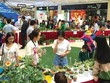 Dịch vụ Tổng hợp Sài Gòn (SVC) dự kiến Kl99 nổ hũ năm 2019 giảm 17%