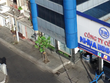 Ảnh Internet