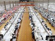 May Sông Hồng và khát vọng nâng tầm giá trị dệt may Việt Nam 