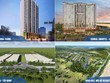 Ricons ký mới nhiều hợp đồng triển khai các dự án có quy mô trong Quý 2/2019.