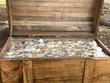 Công ty Gold Hunt sẽ mở cuộc săn lùng kho báu với giải thưởng 100.000 USD.