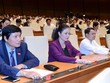 Đại biểu làm việc tại kỳ họp thứ 6 Quốc hội khoá XIV. Ảnh: Hoàng Phong.