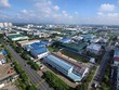 Khan hiếm phố chuyên gia