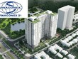 Vinaconex sẽ chấm dứt gắn mào ở một loạt công ty