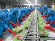 Vĩnh Hoàn ước lãi hơn trăm tỷ đồng từ thoái vốn công ty liên kết