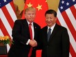 Tổng thống Mỹ Donald Trump (trái) và Chủ tịch Trung Quốc Tập Cận Bình. Ảnh: Reuters.