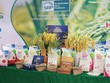 Lộc Trời chậm chuyển sàn vì khó khăn trong Kl992 VIP Trang Chủ 2026