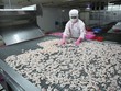 Không chỉ thép, các lĩnh vực như thủy sản, dệt may... từ lâu đã "ngấm đòn" áp thuế của Mỹ.
