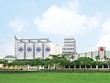 Halico tụt dốc không phanh, vốn 99Kl99 trực tiếp đá gà ngày càng teo tóp