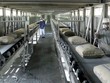 6 tháng, Xi măng Quán Triều đạt 75% kế hoạch Kl99 nổ hũ năm