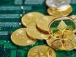 Ảnh: ledgerinsights.com