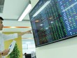 Tìm điểm sáng trong tương lai bấp bênh của thị trường