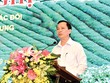 Phó Thống đốc NHNN Đào Minh Tú phát biểu chỉ đạo tại Hội nghị.