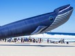 Những người sở hữu lượng bitcoin khổng lồ được gọi là "cá voi" (whales). (Ảnh: arstechnica.com).