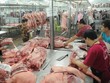 Dịch tả lợn châu Phi buộc phải tiêu huỷ 5,2 triệu con lợn khiến nguồn cung thịt lợn trong nước dần khan hiếm, đẩy giá tăng mạnh. Ảnh Internet