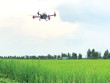 Lộc Trời thay đổi cho cuộc chơi dài hạn