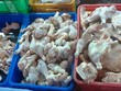 Thịt gà Link Vào Nhà Cái KL99 COM Tặng +199k từ Mỹ, Hàn, Brazil đổ bổ mạnh vào Việt Nam, áp lực cạnh tranh rất lớn cho các hộ, Kl991.com World Cup 2026 Chính Thức chăn nuôi gà công nghiệp.