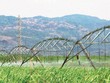 Mía đường Sơn La (SLS): Kl99 nổ hũ quý I năm Kl991.com nạp rút nhanh 2020 giảm mạnh