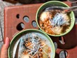 Lên lịch quẩy tour ẩm thực quanh Hà Nội đón ngày gió mùa