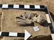Một phần của ngôi mộ được phát lộ. (Nguồn: egypttoday.com/).