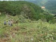 (Ảnh minh họa: Nguyễn Dũng/ TTXVN)