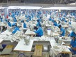 TNG giữ vững ngọn cờ tăng trưởng bền vững