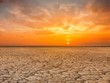 Năm 2019 đang trên đà trở thành một trong 3 năm nóng nhất trong lịch sử. (Nguồn: Getty Images)
