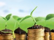 Gieo những hạt giống tốt cho thị trường 99Kl99 link đăng nhập