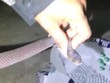 Rắn hổ mang bò lên giường nhà dân tránh rét