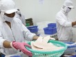 Khủng hoảng cung vượt cầu cá tra vẫn là thách thức với Agifish.