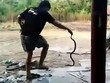 Hổ mang ngóc đầu phun nọc vào mắt người