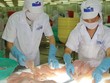 Hoạt động xuất khẩu thủy sản và bán thủy sản nội địa của HVG đều giảm.