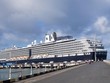Du thuyền MS Westerdam neo tại cảng Sihanoukville, Tây Nam Campuchia ngày 14/2/2020. (Ảnh: THX/TTXVN).