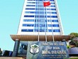 Việc thanh lý các công ty con thuộc ngành điện được coi là giải pháp hợp lý cho Hoàng Anh Gia Lai nhằm giảm bớt sự dàn trải và tập trung vào ngành nghề chủ lực.