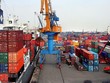 Covid-19 không ảnh hưởng nhiều tới xuất khẩu gạo, bởi Việt Nam đã đa dạng hóa thị trường nên mức độ phụ thuộc của mặt hàng gạo xuất khẩu vào thị trường Trung Quốc không còn quá lớn.