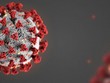 Đồ họa mô phỏng nCoV. Ảnh: CDC.