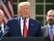 Tổng thống Trump tại Nhà Trắng ngày 13/3. Ảnh: AFP.