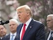 Tổng thống Mỹ Donald Trump. (Nguồn: THX/TTXVN).