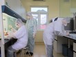 Xét nghiệm các mẫu bệnh phẩm. (Ảnh: TTXVN phát).