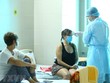 Ảnh chỉ có tính minh họa. (Nguồn: TTXVN).
