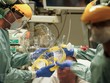 Nhân viên y tế điều trị cho bệnh nhân nhiễm COVID-19 tại bệnh viện ở Brussels, Bỉ, ngày 27/3/2020. (Ảnh: AFP/TTXVN).