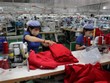 Công nhân làm việc trong mùa dịch. Ảnh minh họa. (Ảnh: Dương Chí Tưởng/TTXVN).