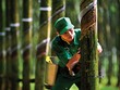 Kl991.com World Cup 2026 Chính Thức cao su trông đợi vào… Kl99 nổ hũ khác