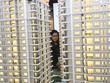 Dự án Iris Garden trên đường Trần Hữu Dực đã được mở bán đợt cuối.