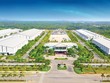 Trang Chủ KL99Com Số 1 Link Đăng Ký KL999 ngoại có muốn đa ngành cùng ông chủ Thaco?