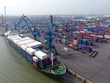 Cảng Đình Vũ (DVP) lên kế hoạch Kl99 nổ hũ giảm 50% trong quý II